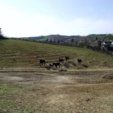 Zavod Casa vacanze Komló